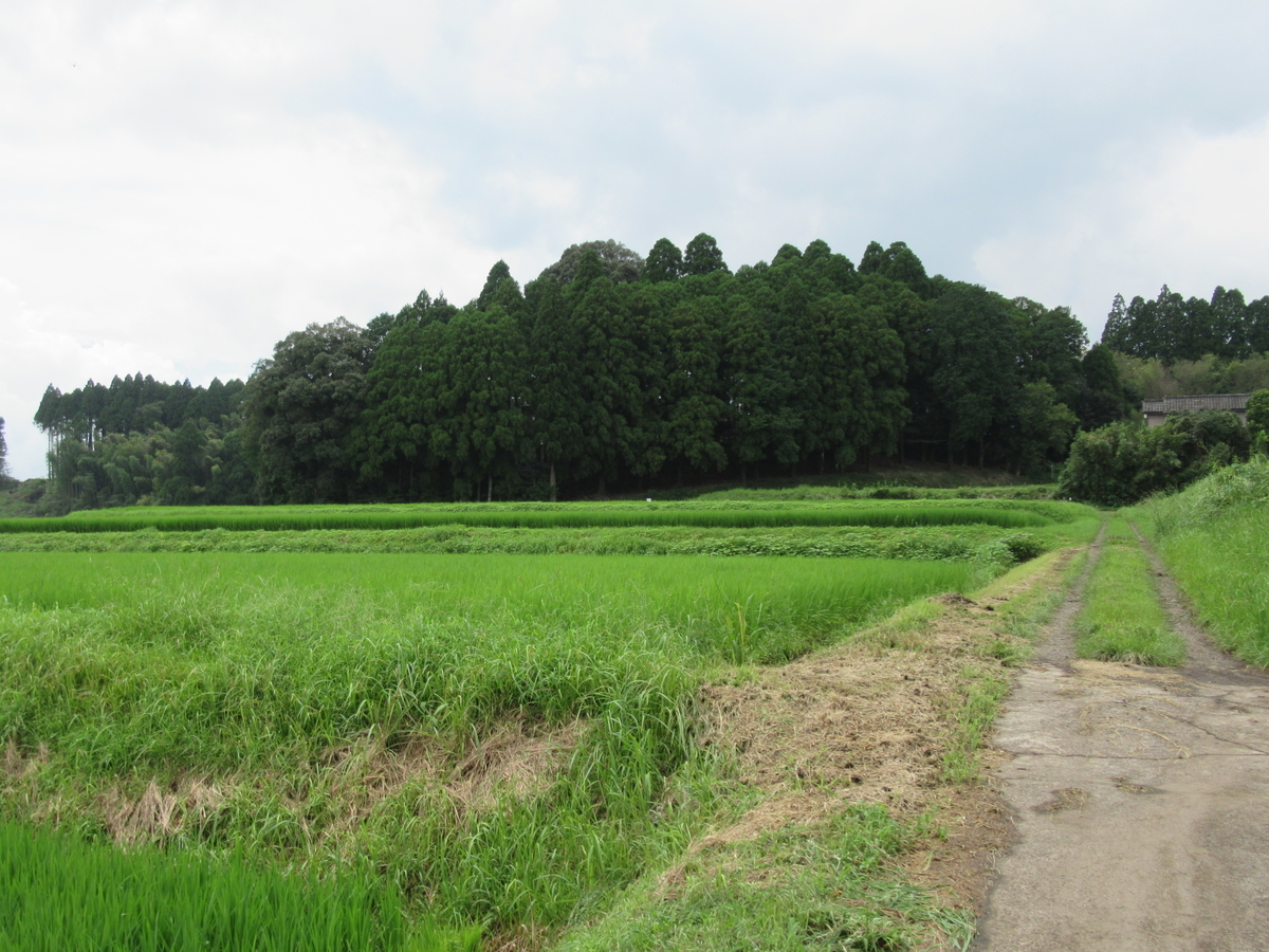 f:id:mai9mami:20210822111246j:plain