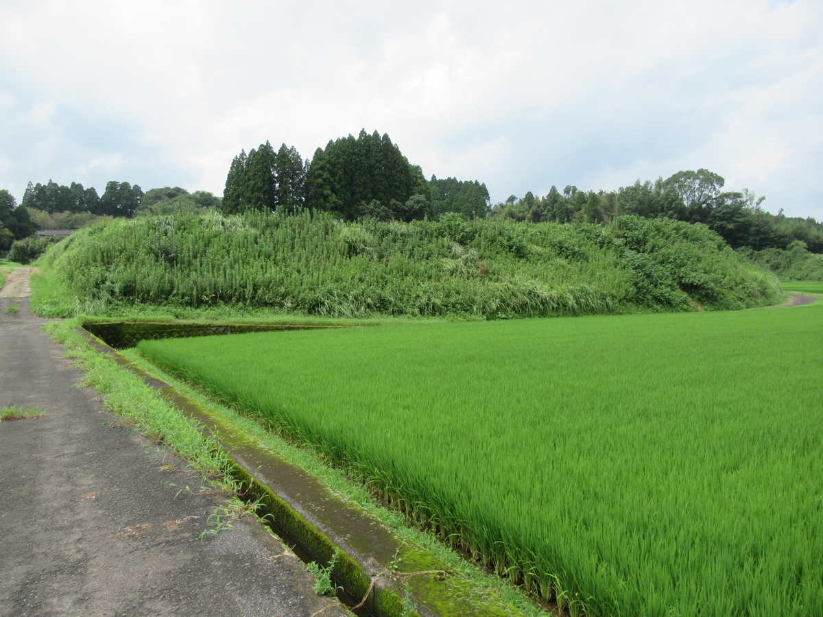 f:id:mai9mami:20210822111558j:plain