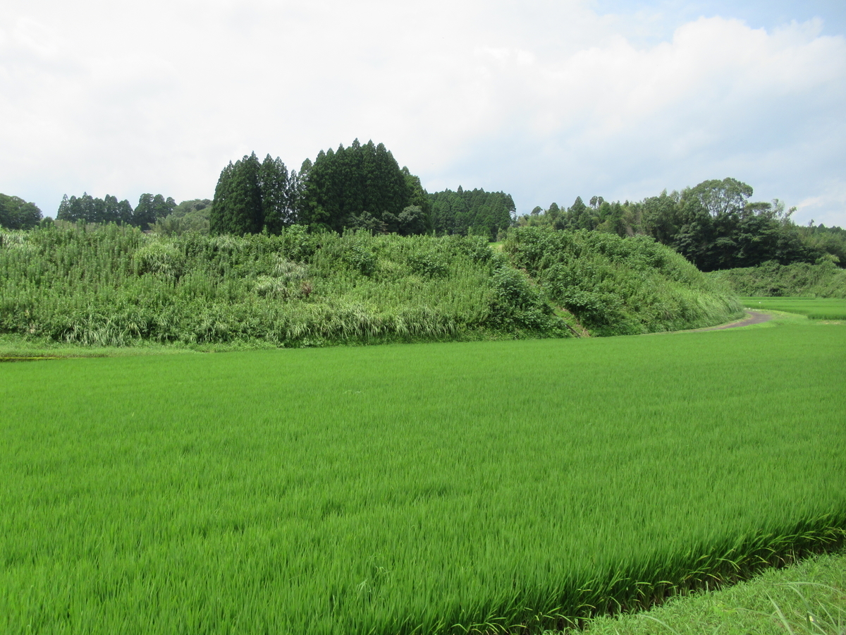 f:id:mai9mami:20210822112535j:plain