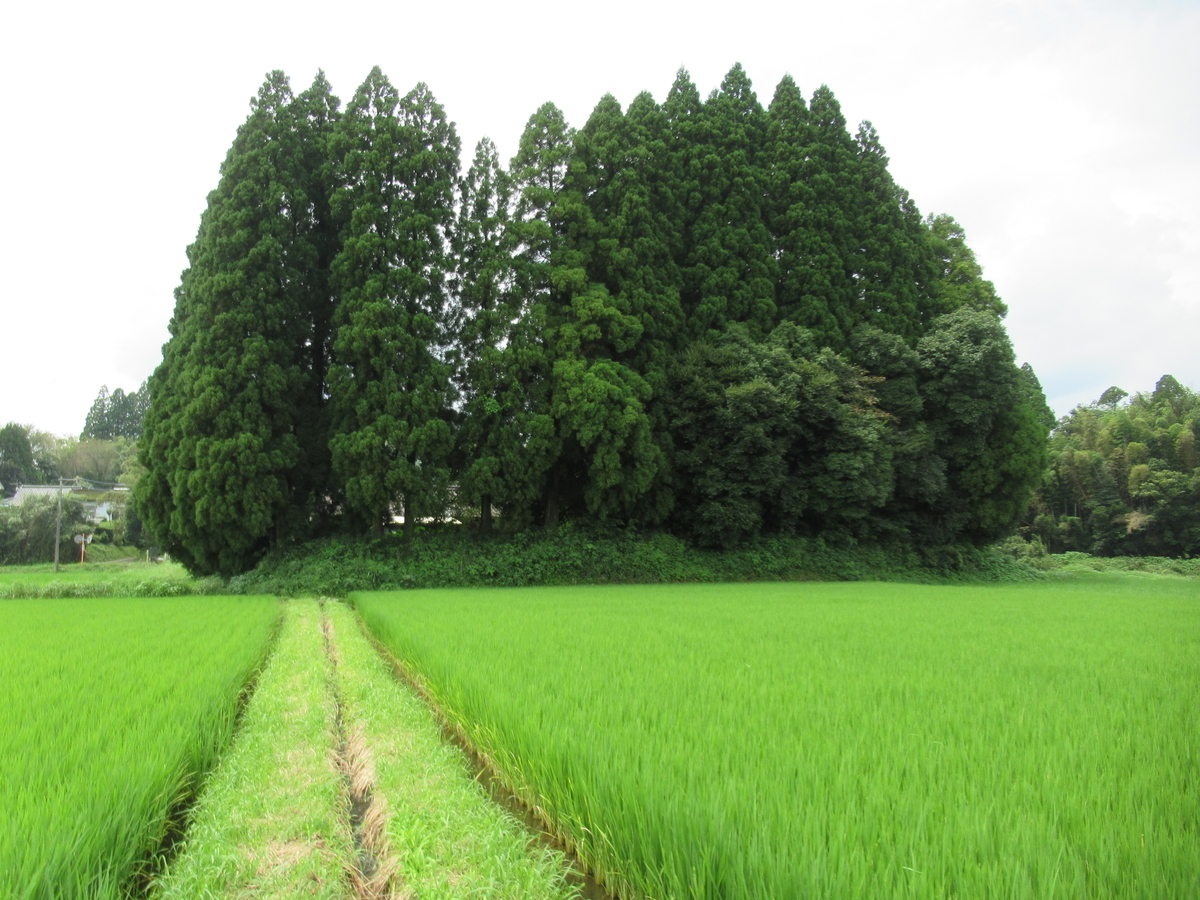 f:id:mai9mami:20210822114611j:plain