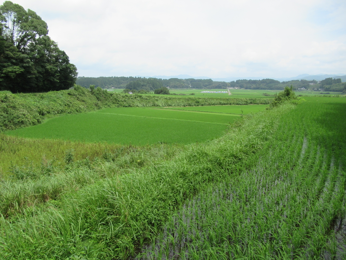 f:id:mai9mami:20210822115227j:plain