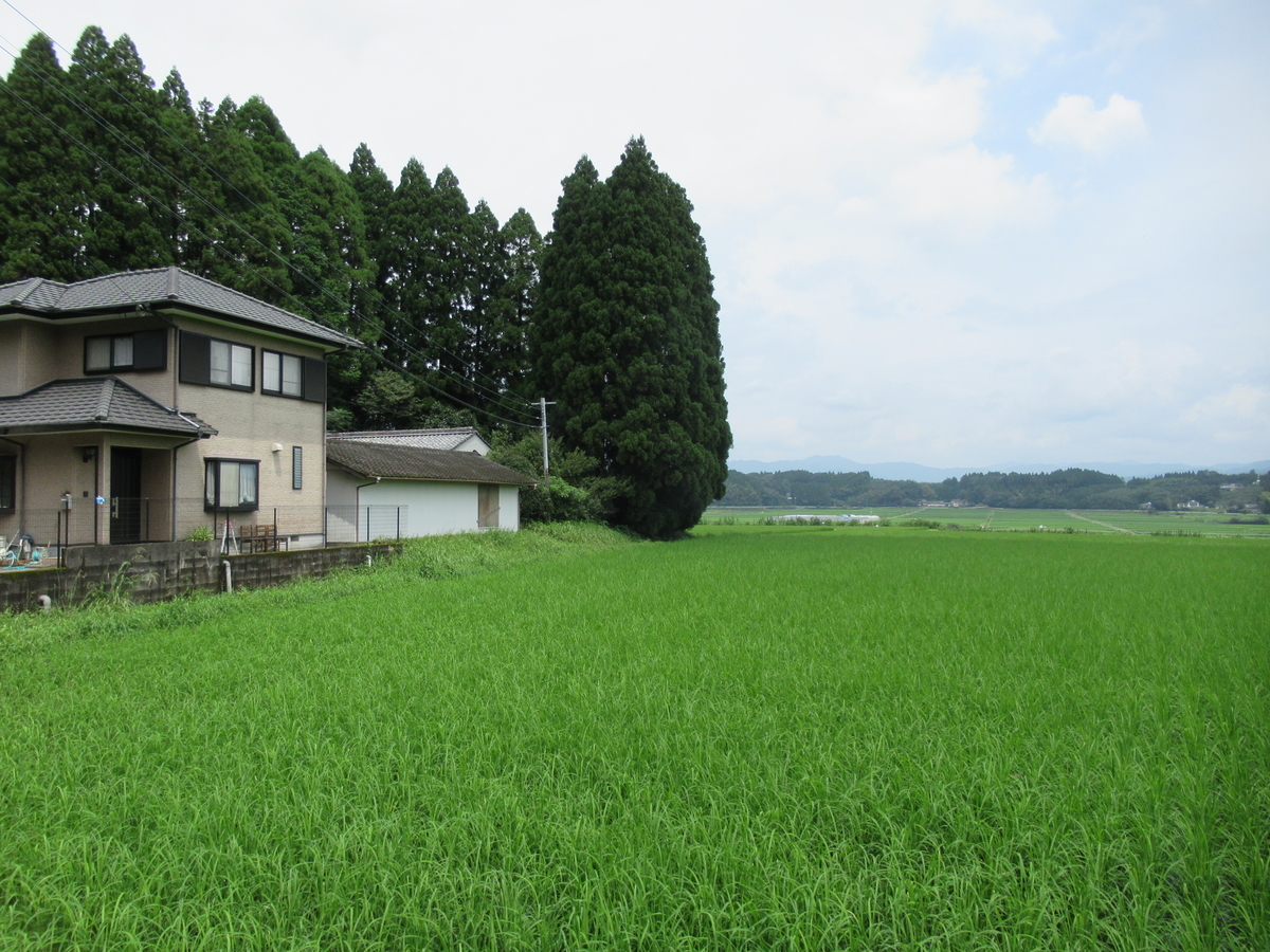 f:id:mai9mami:20210822115511j:plain