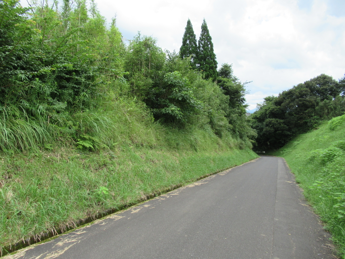 f:id:mai9mami:20210822125920j:plain