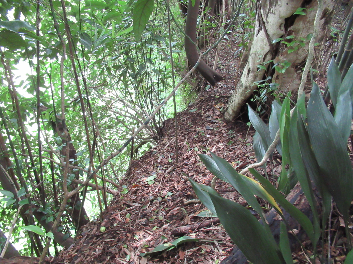 f:id:mai9mami:20210822131413j:plain