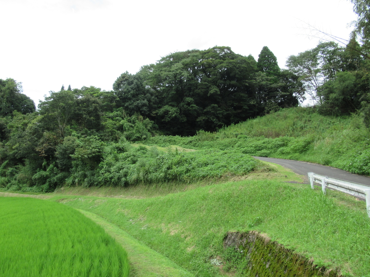 f:id:mai9mami:20210822132533j:plain