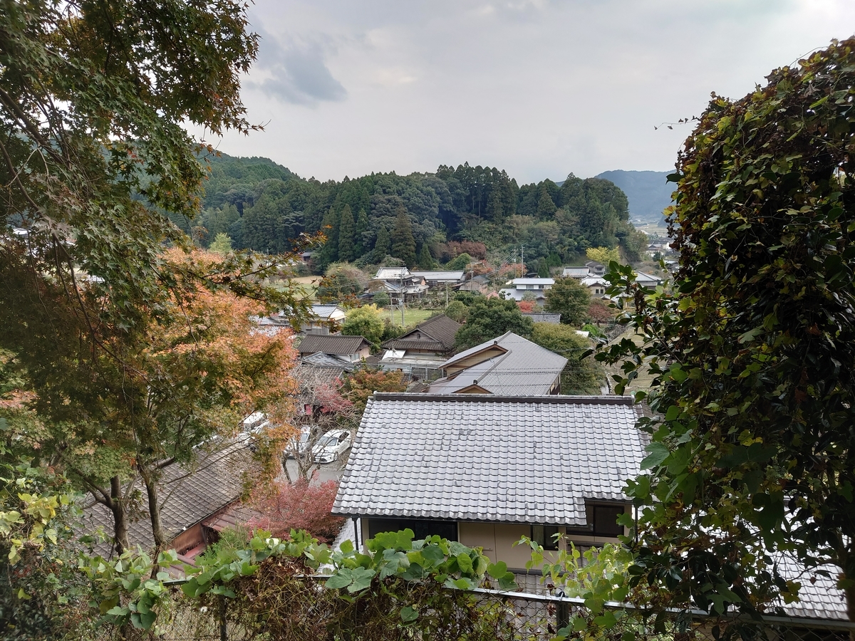 f:id:mai9mami:20211114125442j:plain