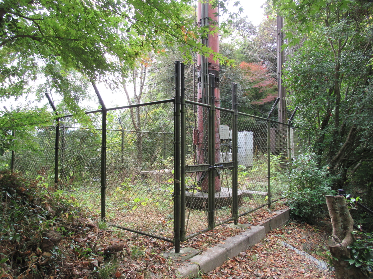 f:id:mai9mami:20211114125648j:plain