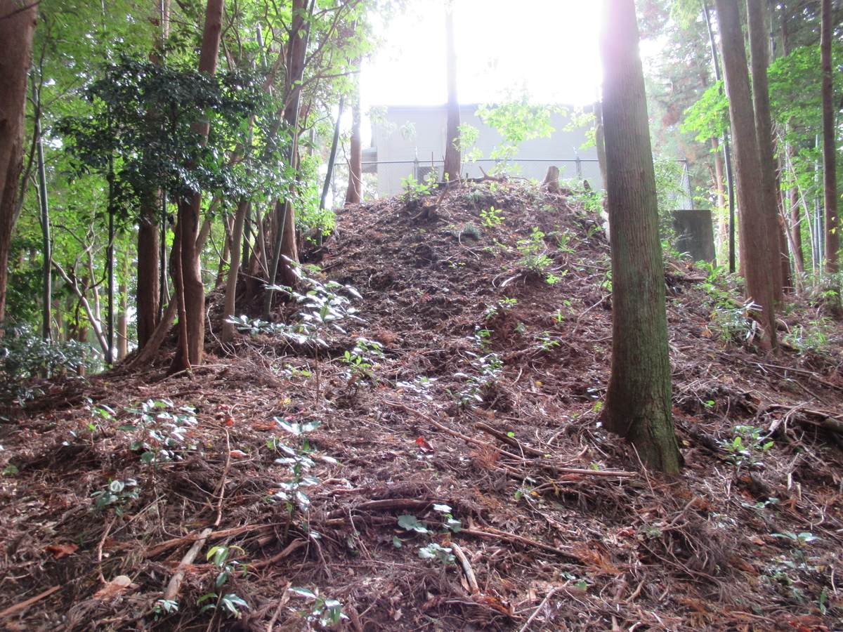 f:id:mai9mami:20211114130254j:plain