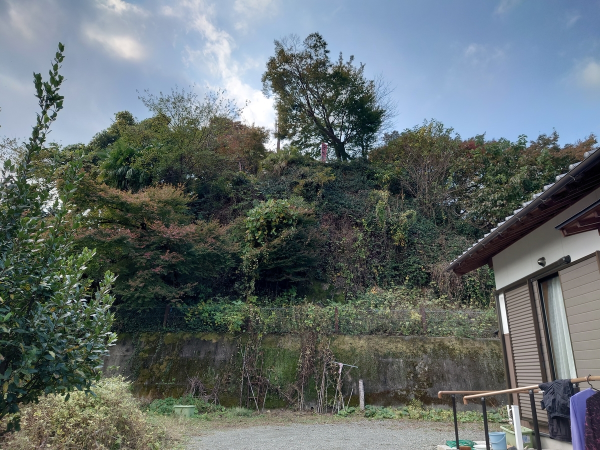 f:id:mai9mami:20211114132556j:plain