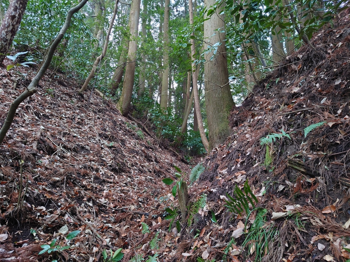 f:id:mai9mami:20220108114429j:plain