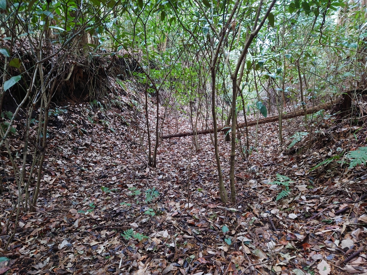 f:id:mai9mami:20220108121647j:plain