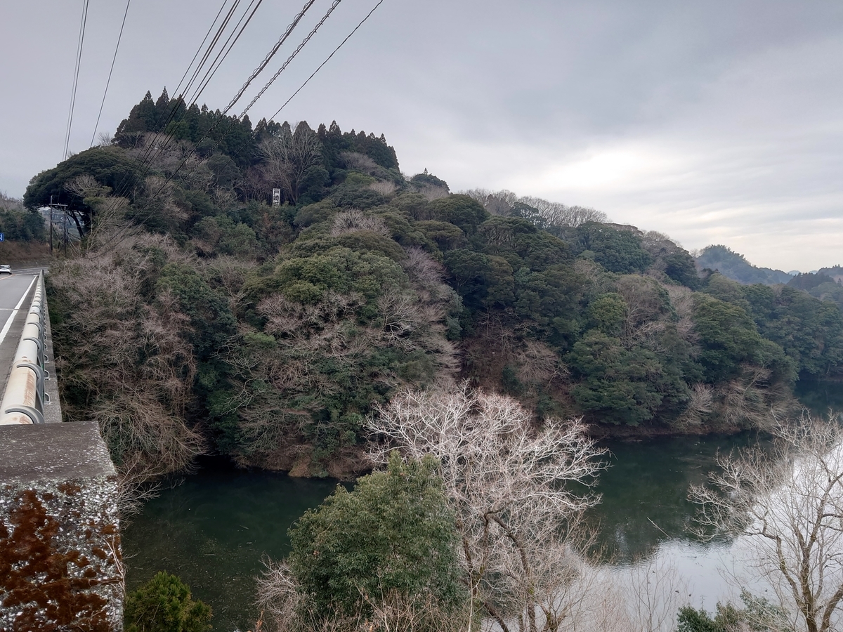 f:id:mai9mami:20220108132815j:plain