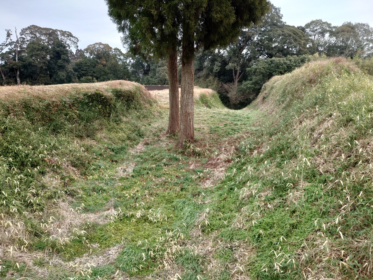 f:id:mai9mami:20220108134513j:plain