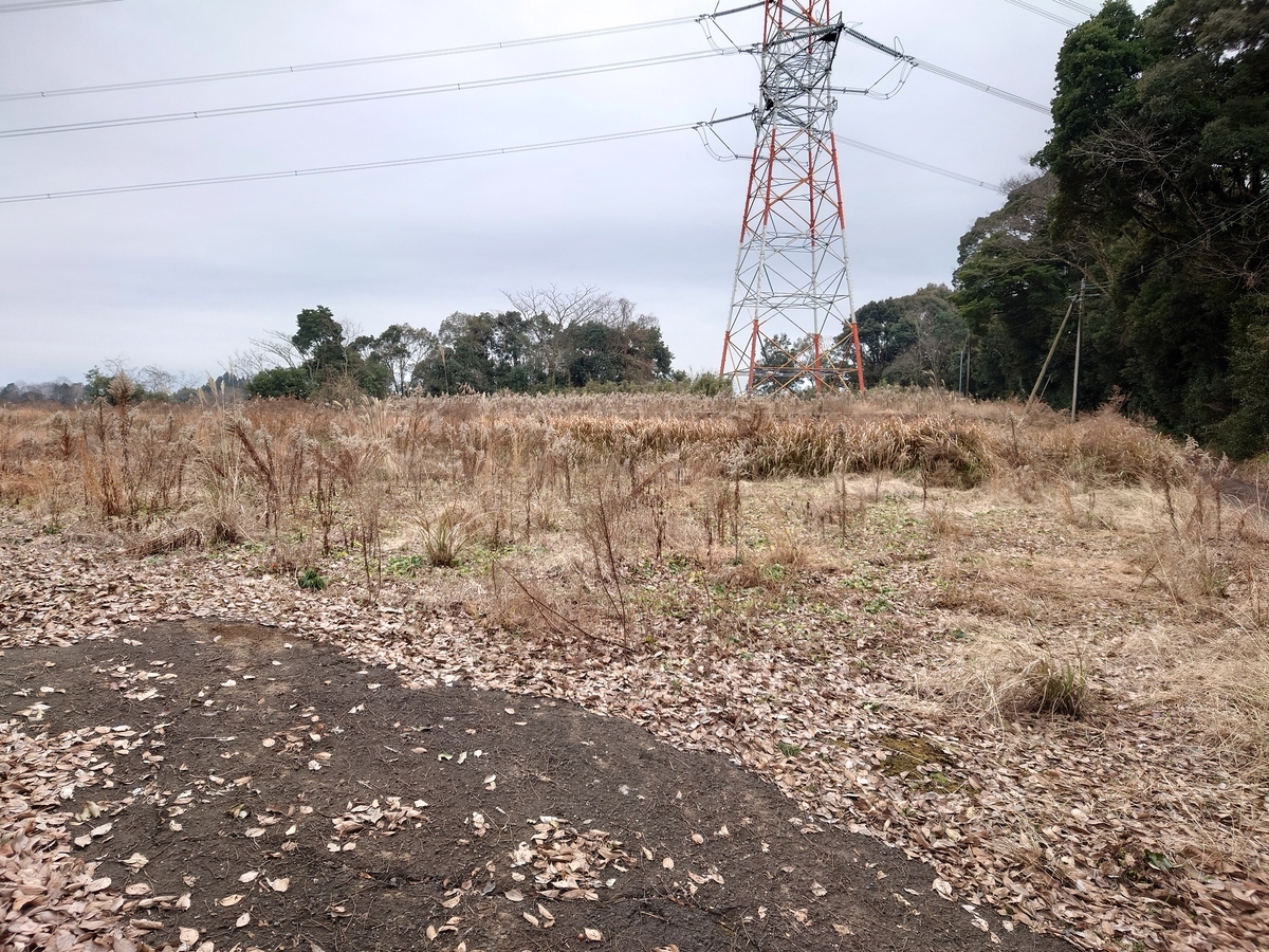 f:id:mai9mami:20220108135719j:plain