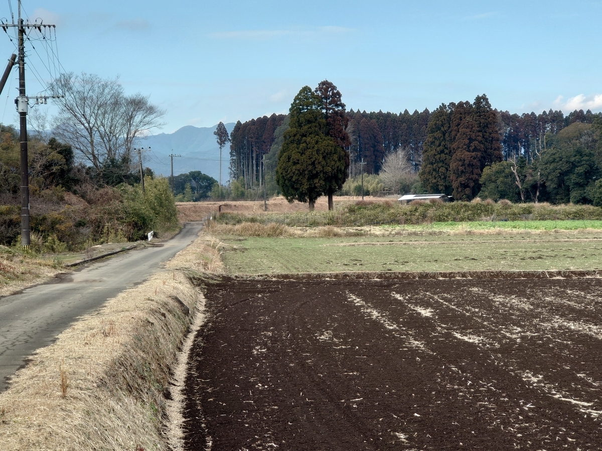 f:id:mai9mami:20220108142010j:plain