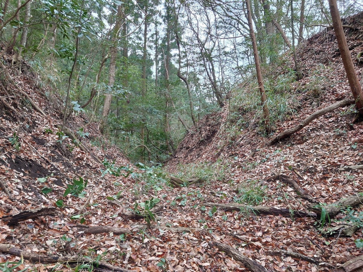 f:id:mai9mami:20220112225243j:plain