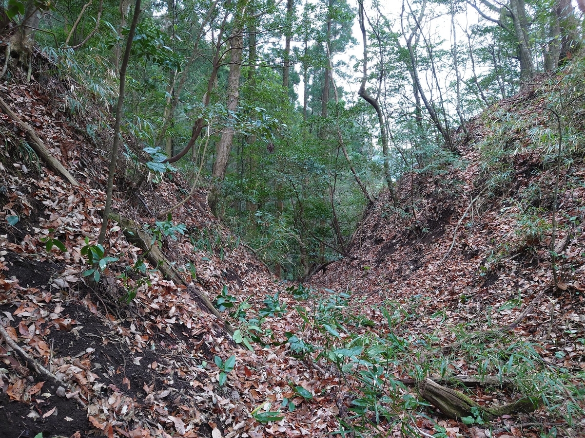 f:id:mai9mami:20220112225338j:plain