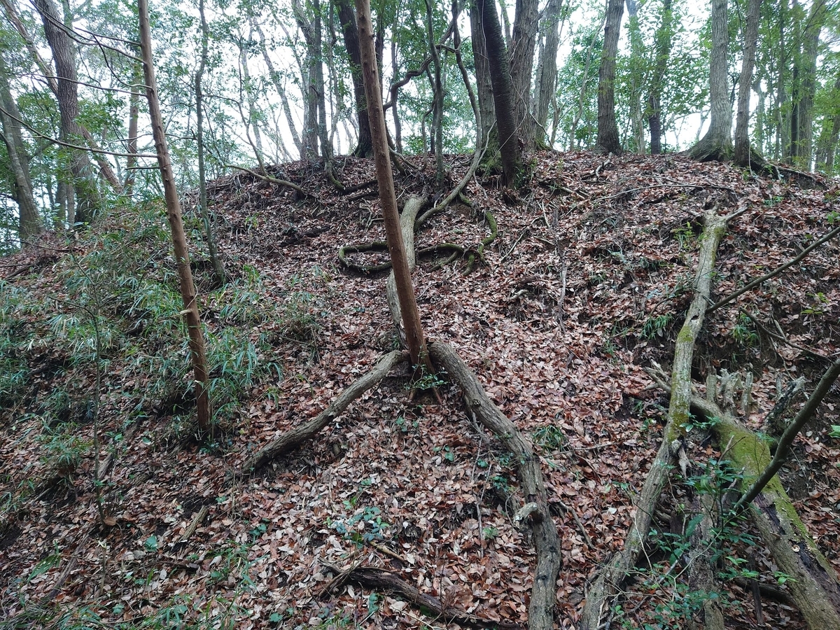 f:id:mai9mami:20220112225743j:plain