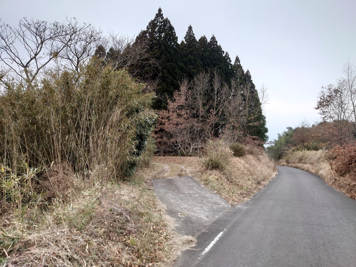 f:id:mai9mami:20220122130533j:plain