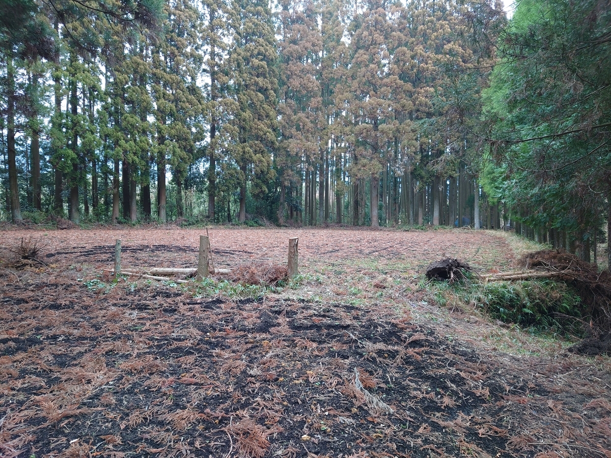 f:id:mai9mami:20220122130949j:plain