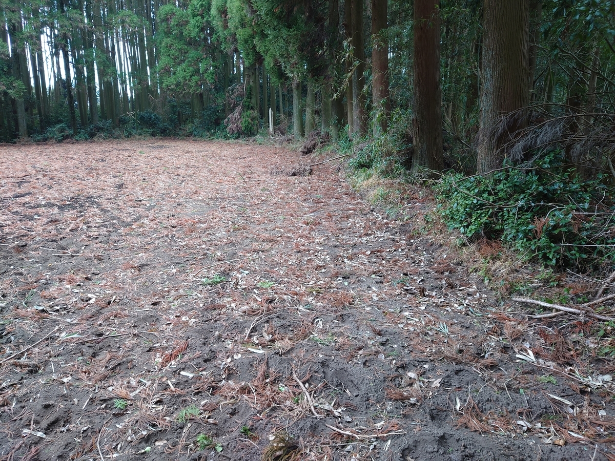 f:id:mai9mami:20220122131303j:plain