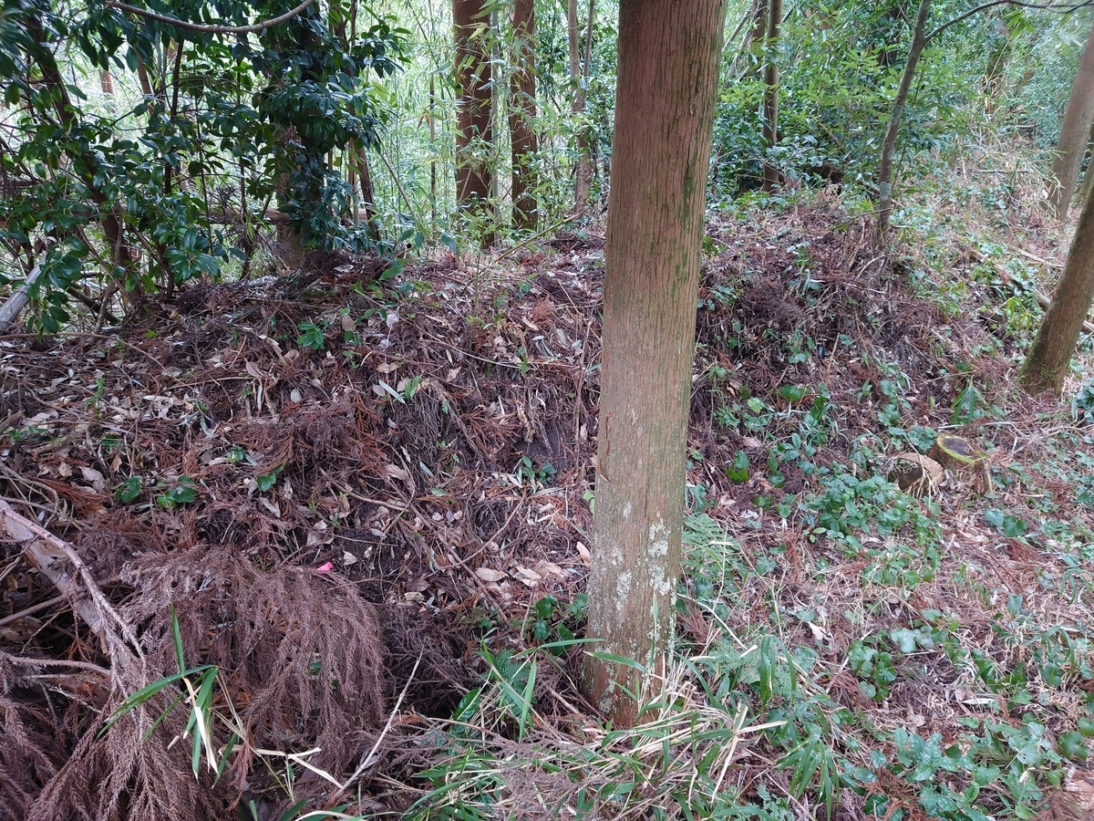 f:id:mai9mami:20220122131353j:plain