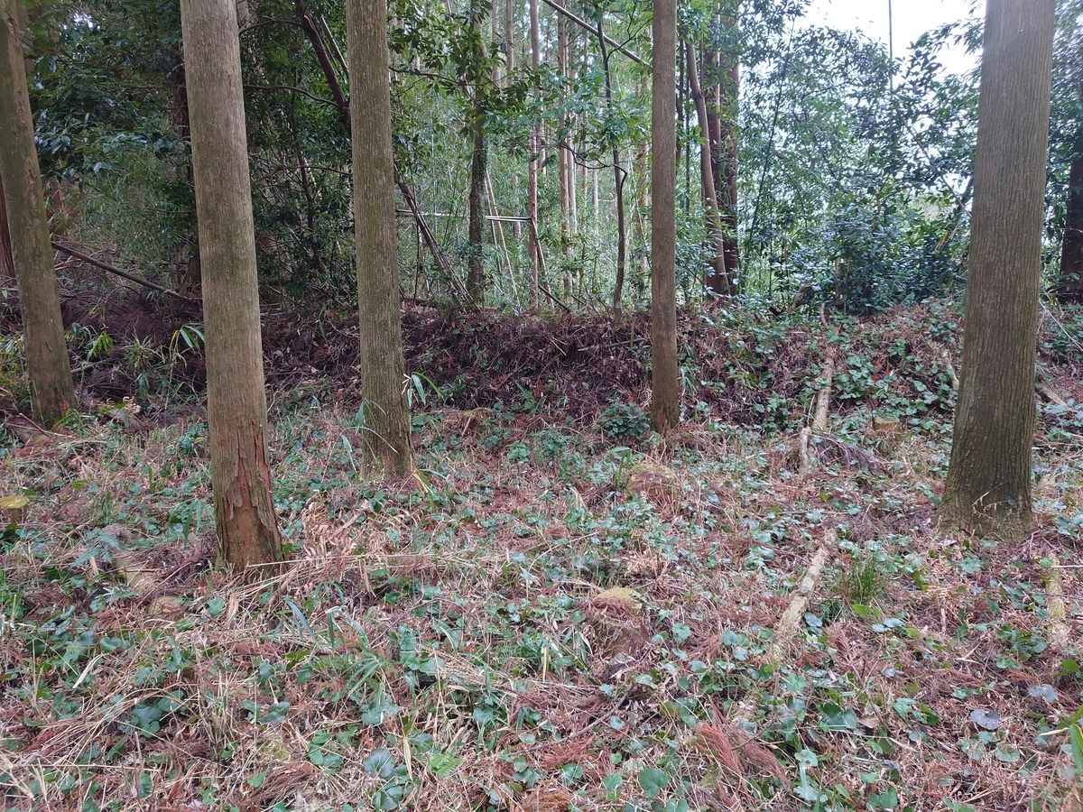 f:id:mai9mami:20220122131524j:plain