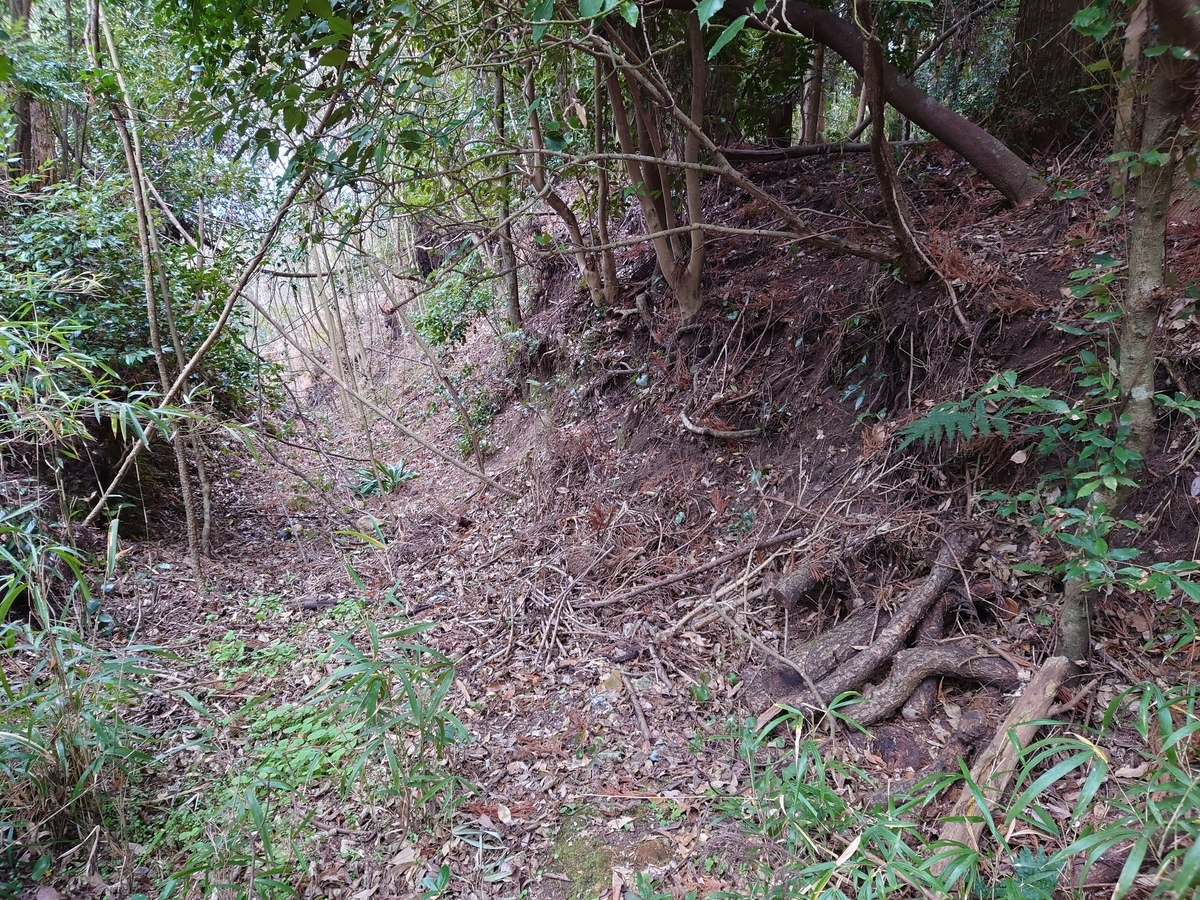 f:id:mai9mami:20220122131946j:plain