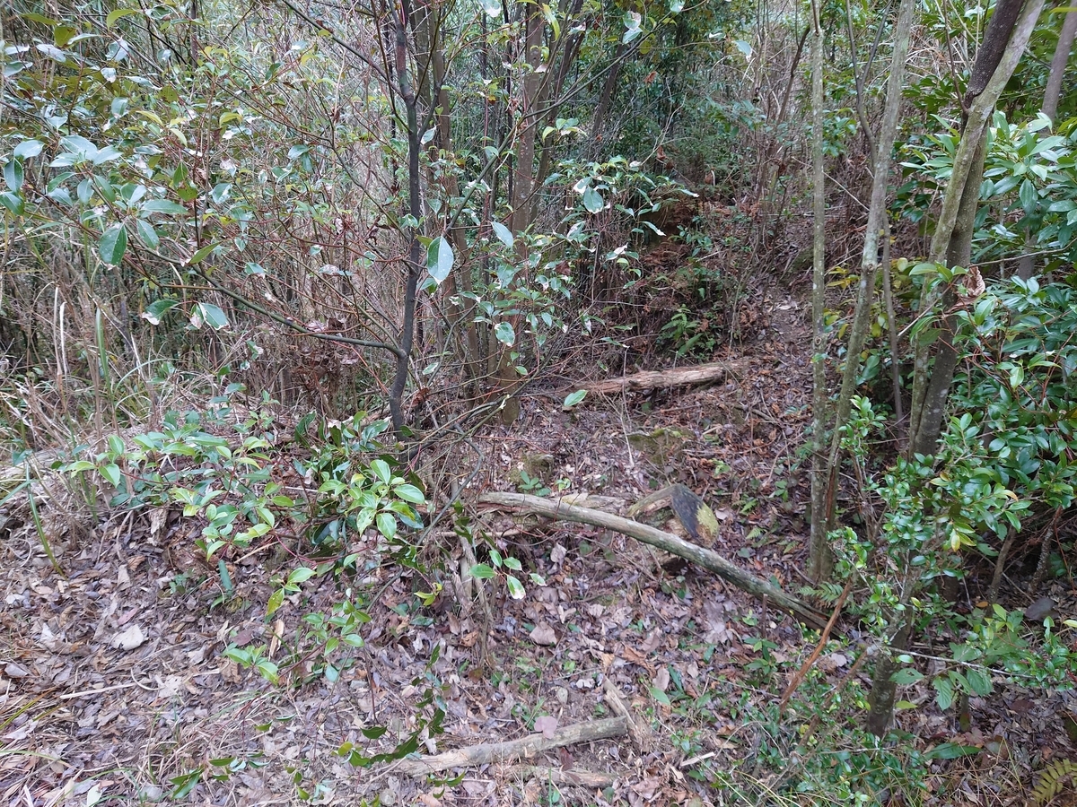 f:id:mai9mami:20220122133637j:plain