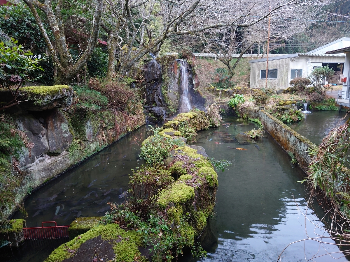 f:id:mai9mami:20220122172806j:plain