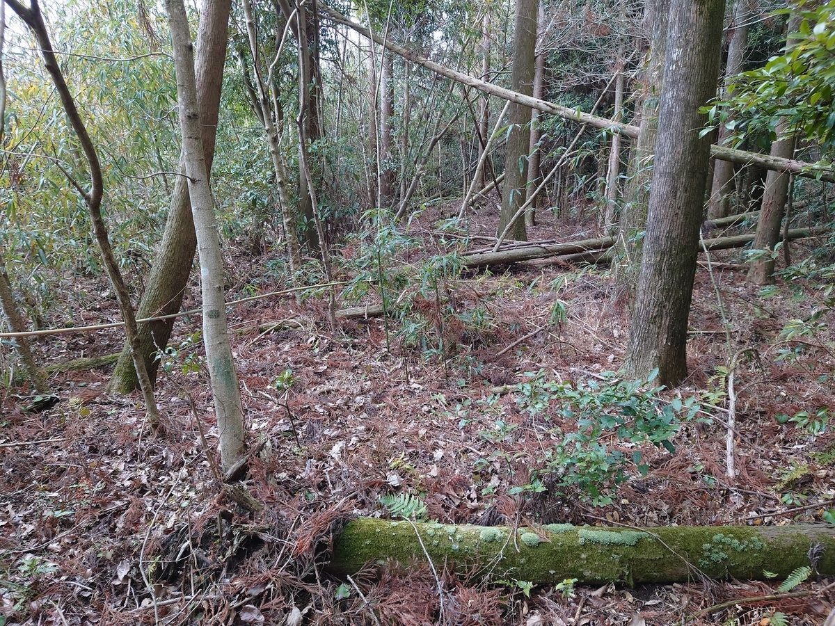 f:id:mai9mami:20220203231839j:plain