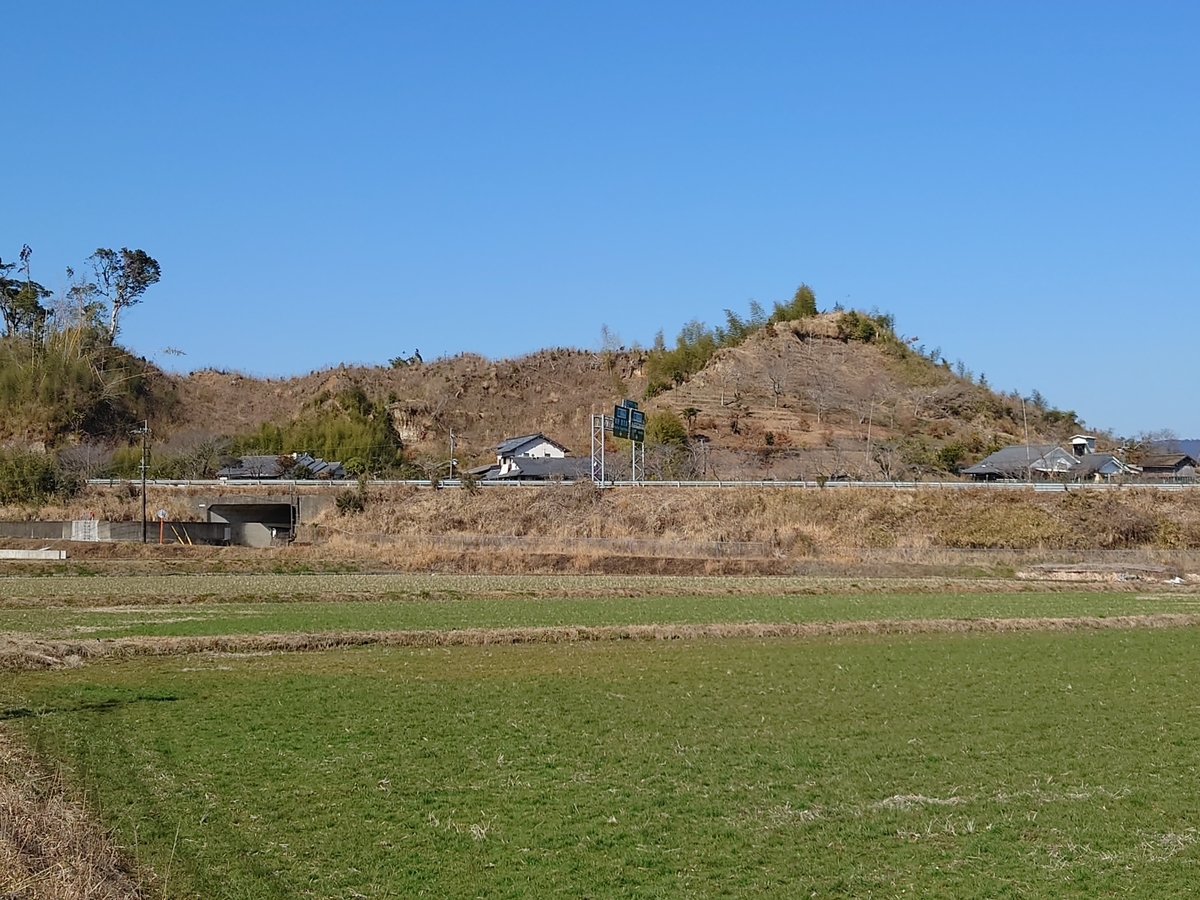 f:id:mai9mami:20220211110339j:plain