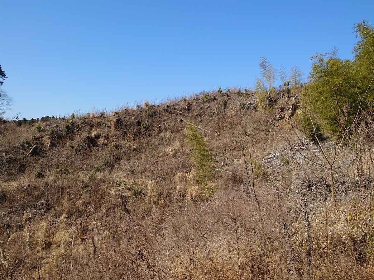 f:id:mai9mami:20220211113527j:plain