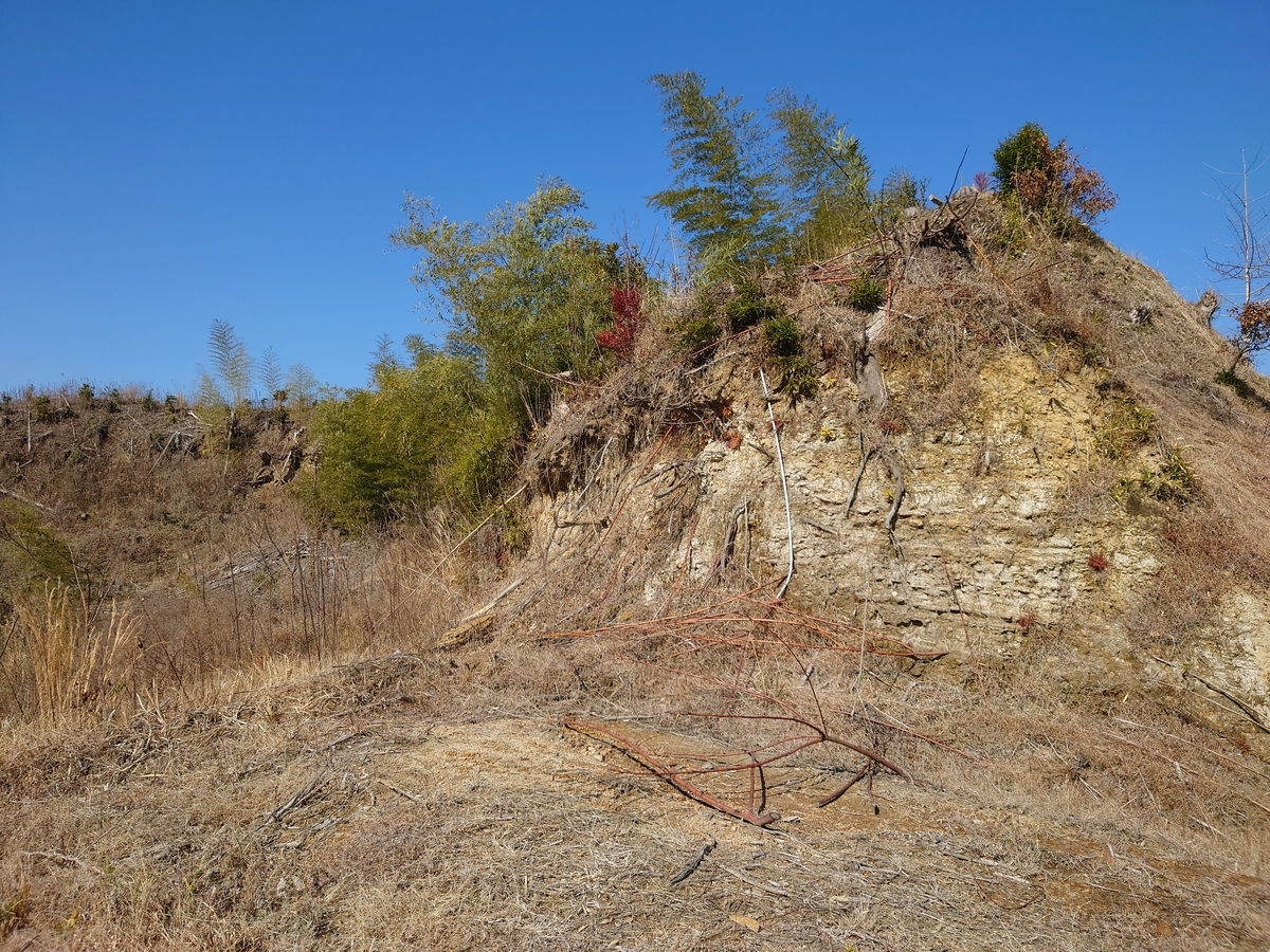 f:id:mai9mami:20220211113756j:plain