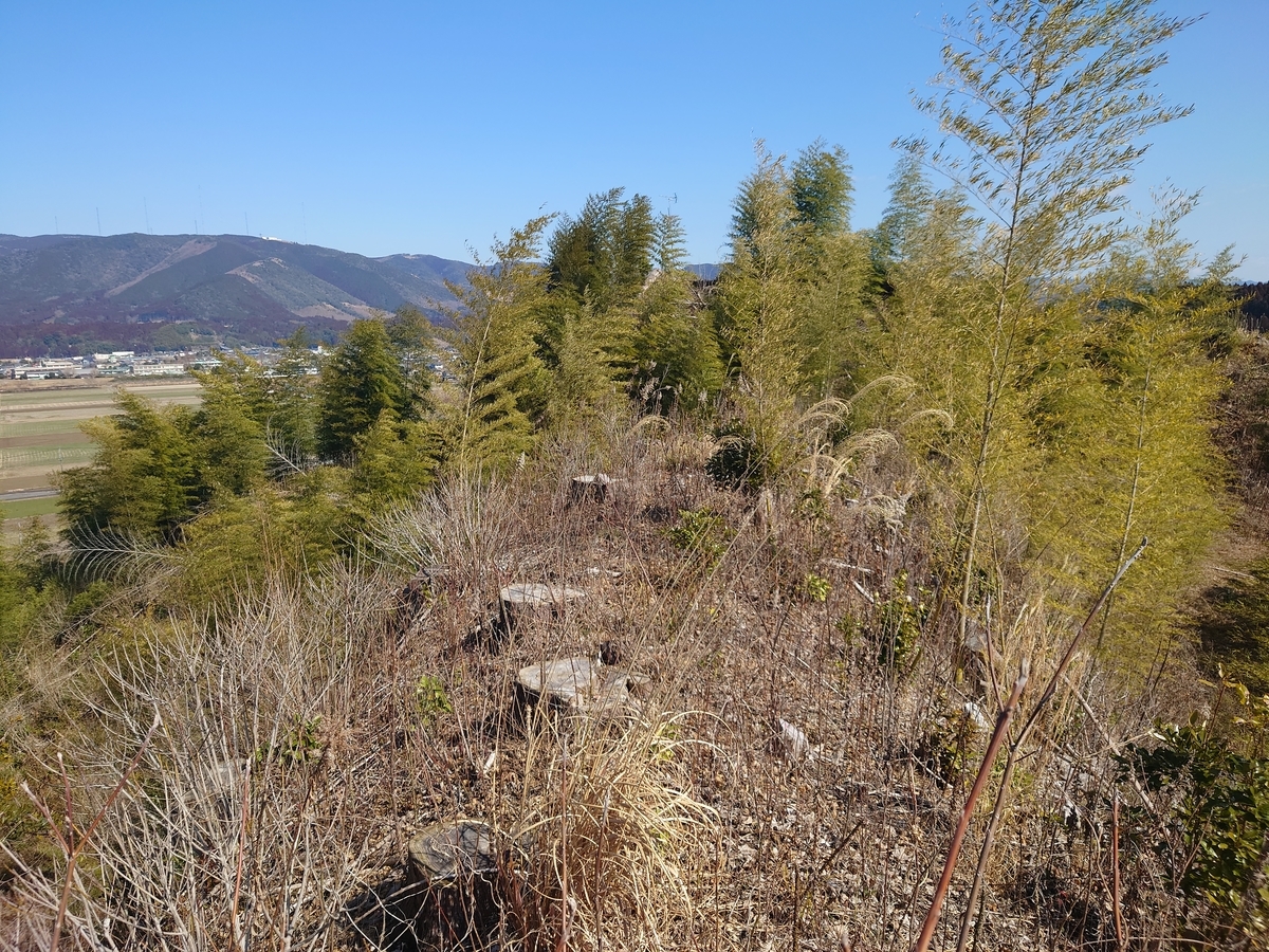 f:id:mai9mami:20220211115652j:plain