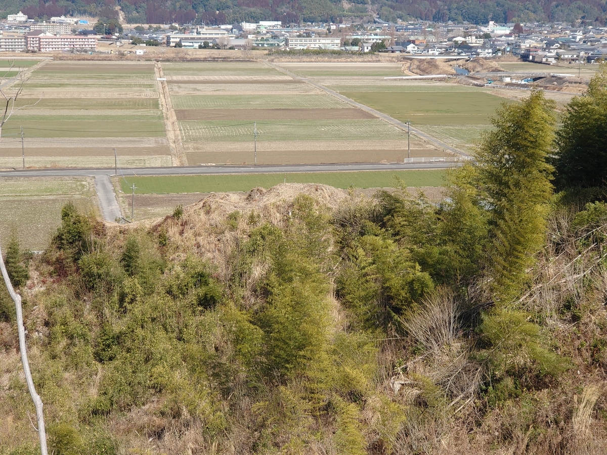 f:id:mai9mami:20220211120505j:plain