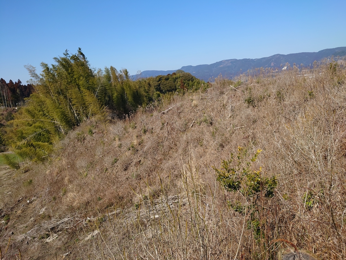 f:id:mai9mami:20220211121022j:plain