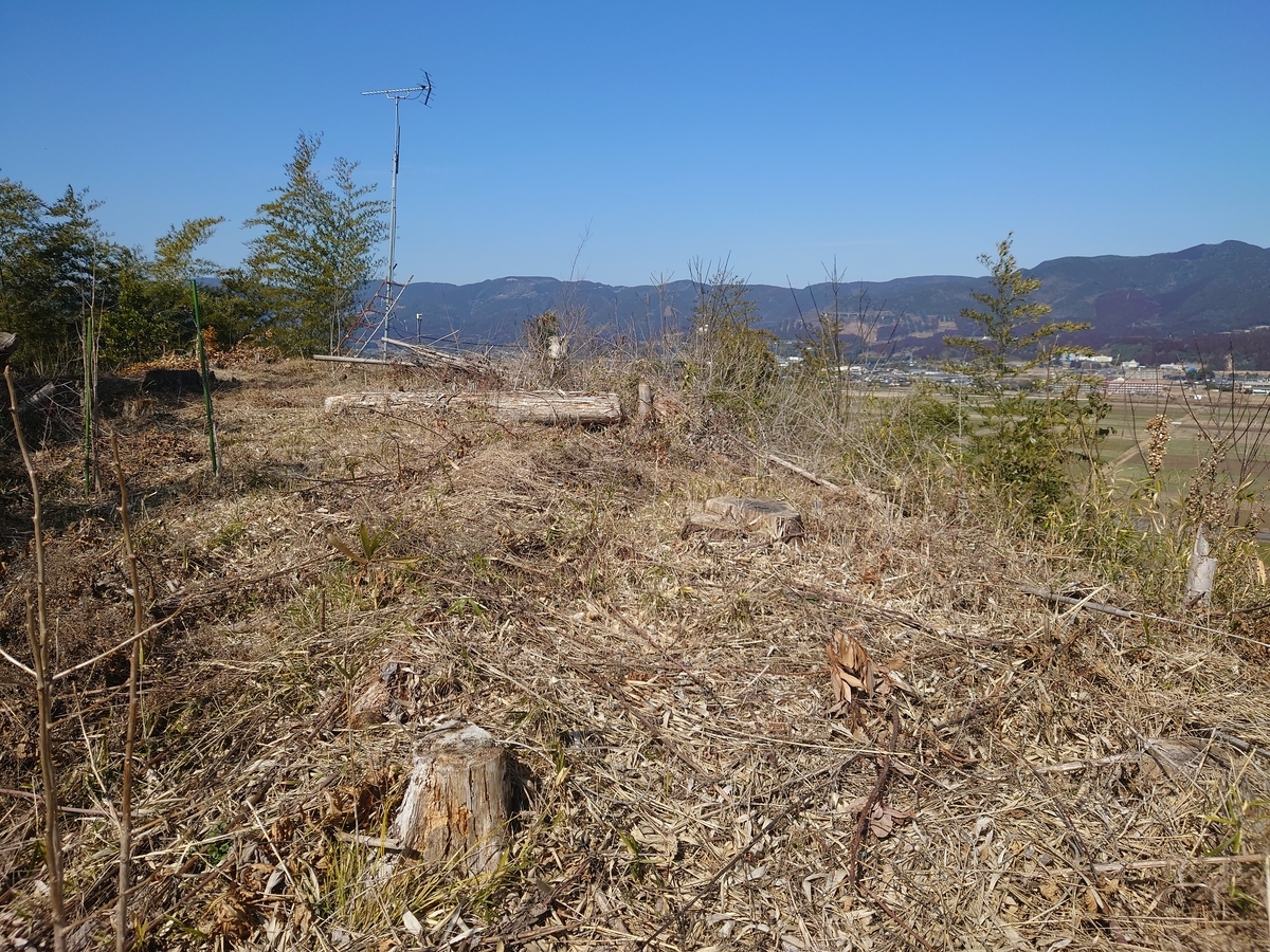 f:id:mai9mami:20220211124228j:plain