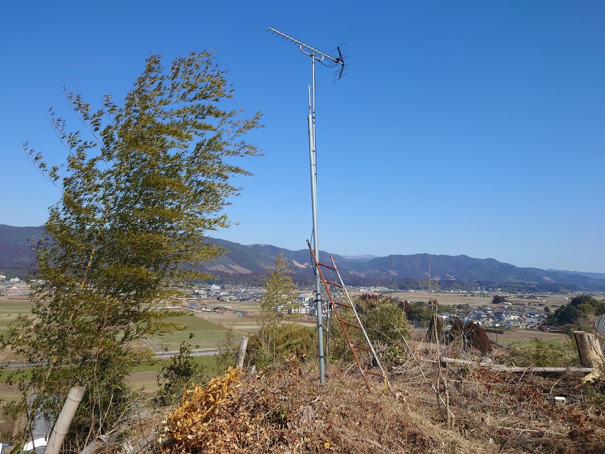 f:id:mai9mami:20220211124311j:plain