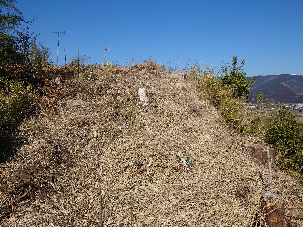 f:id:mai9mami:20220211124740j:plain