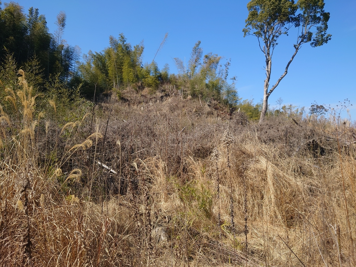 f:id:mai9mami:20220211130340j:plain