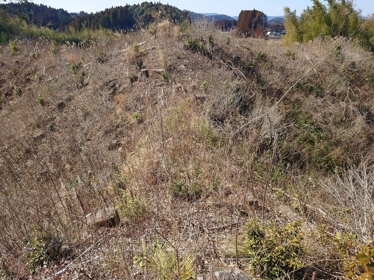 f:id:mai9mami:20220217211515j:plain