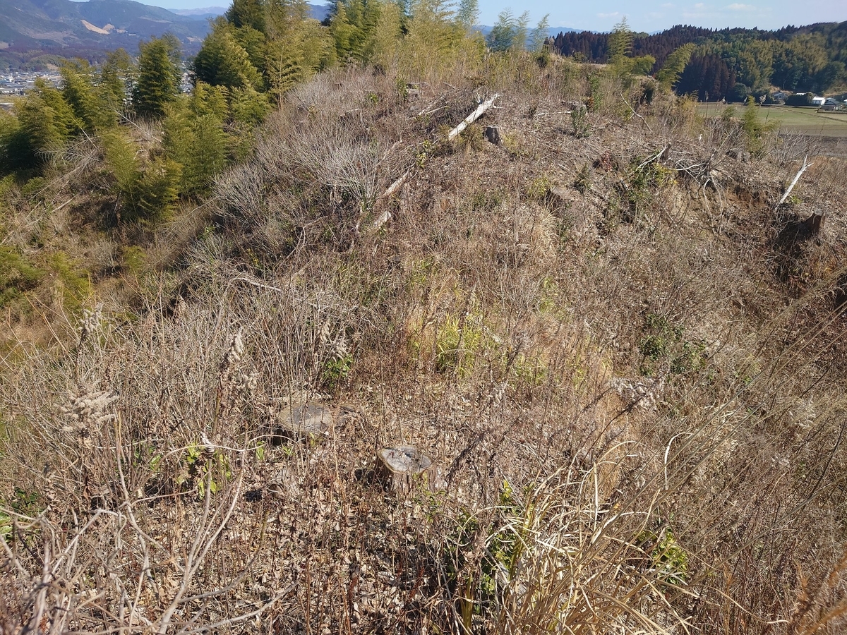 f:id:mai9mami:20220217211556j:plain