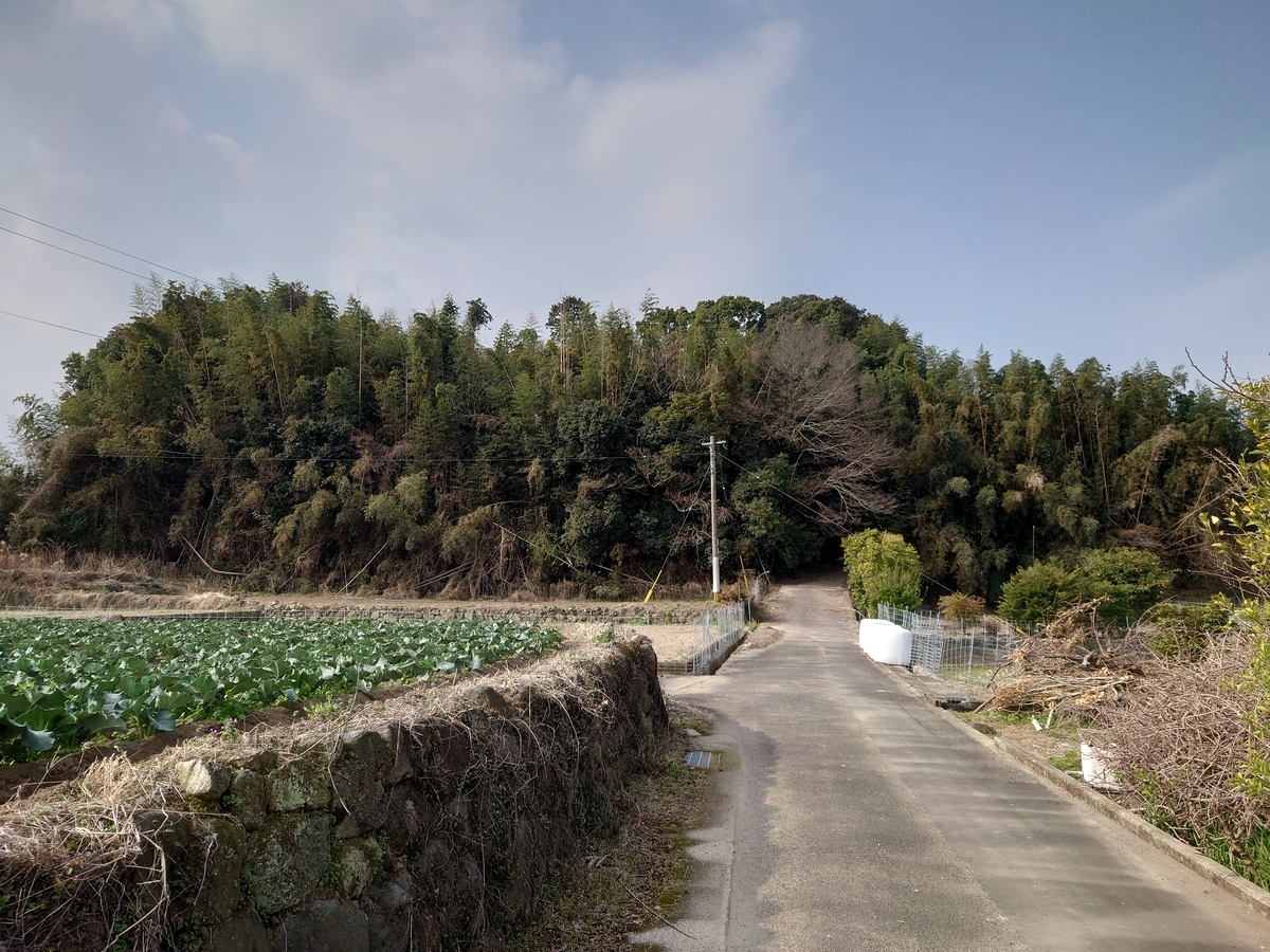 f:id:mai9mami:20220305100111j:plain