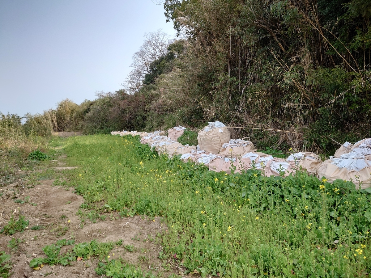 f:id:mai9mami:20220305100856j:plain