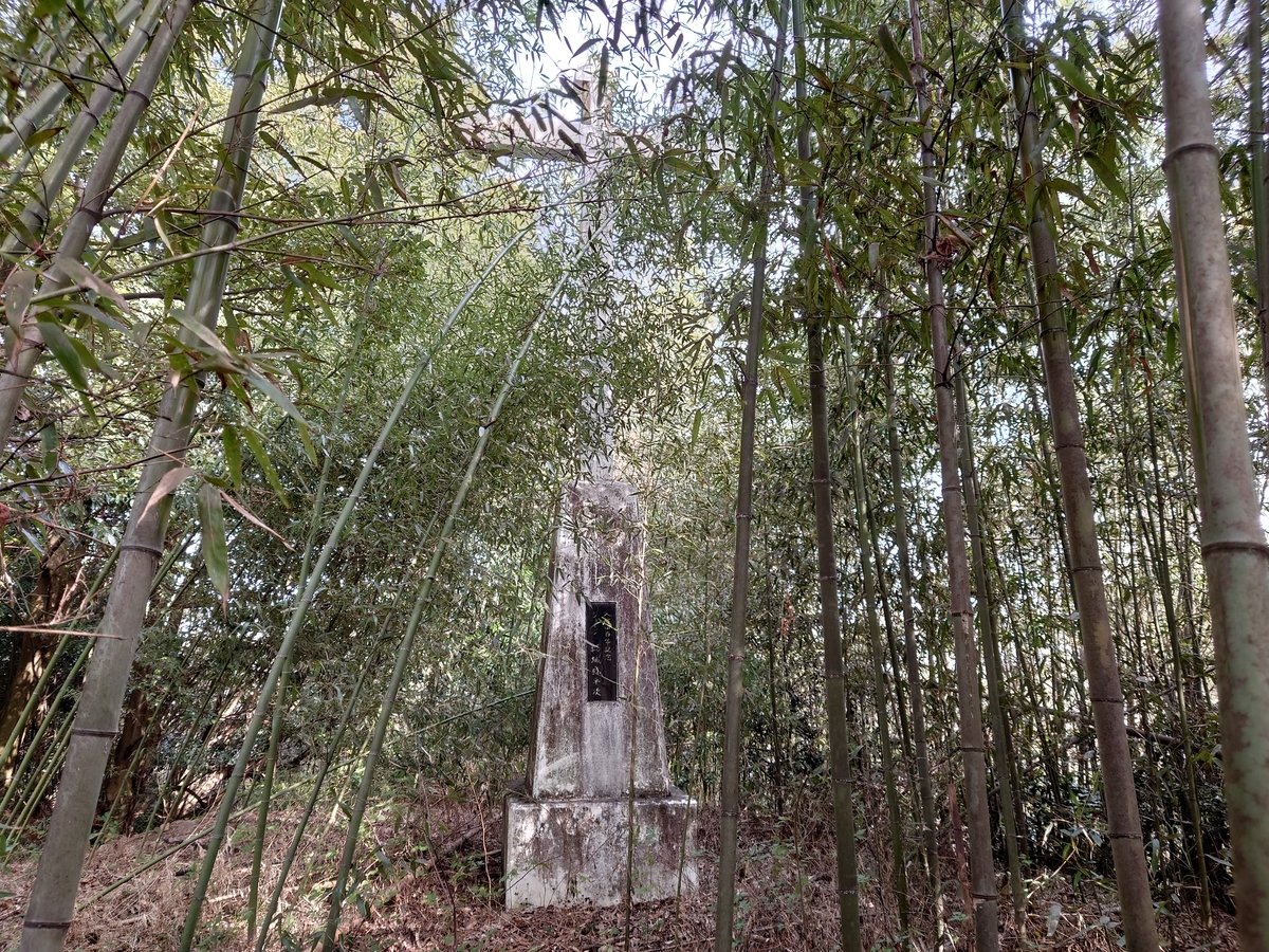 f:id:mai9mami:20220305101414j:plain