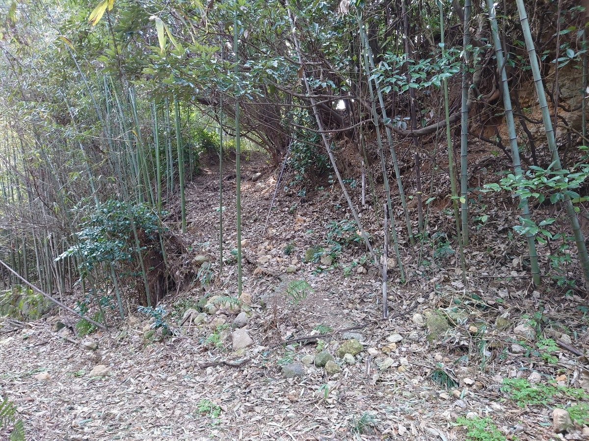 f:id:mai9mami:20220305102104j:plain