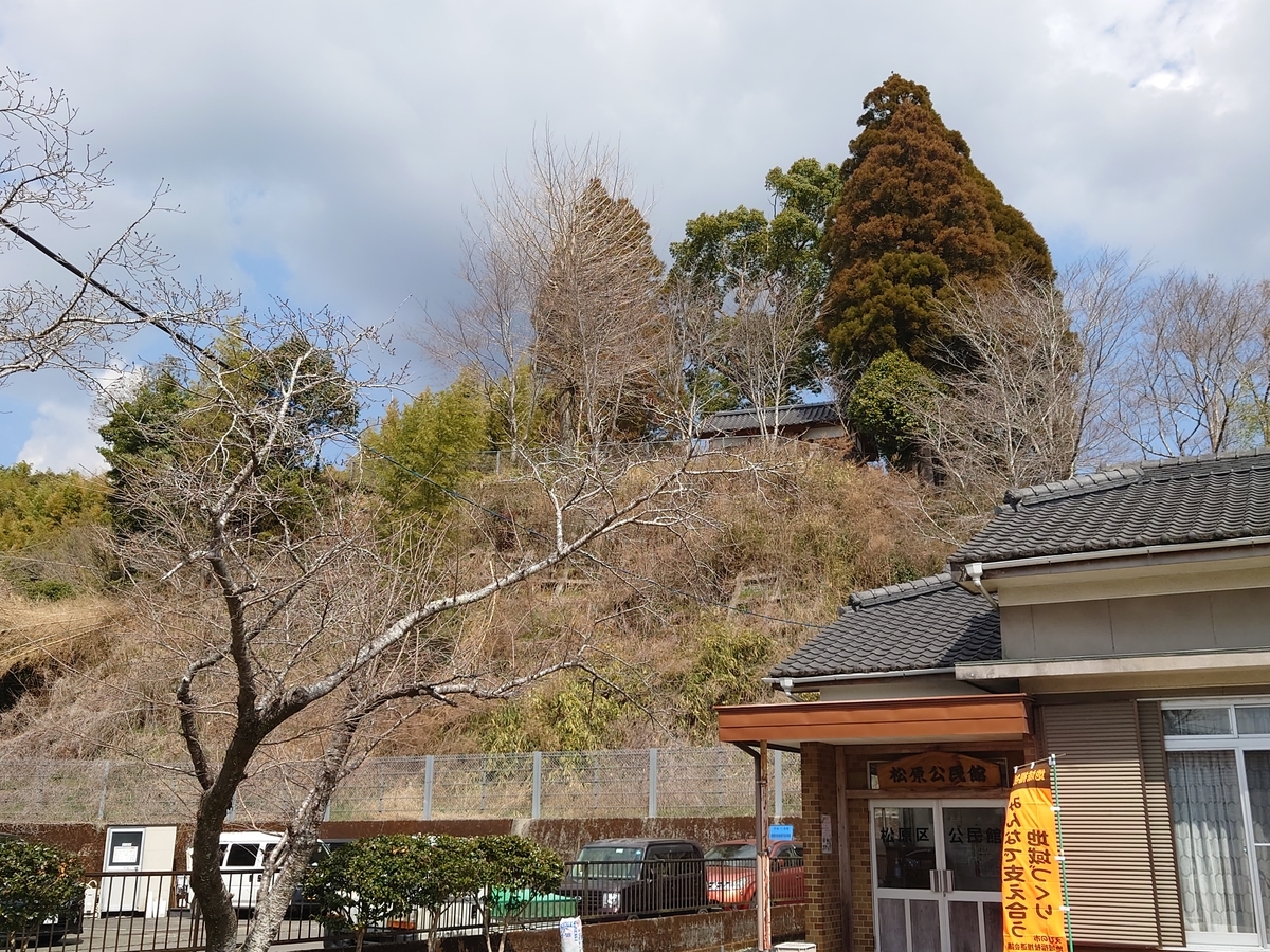 f:id:mai9mami:20220312113903j:plain