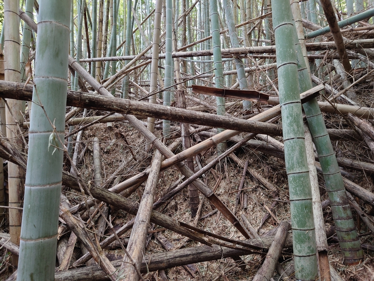 f:id:mai9mami:20220312114927j:plain