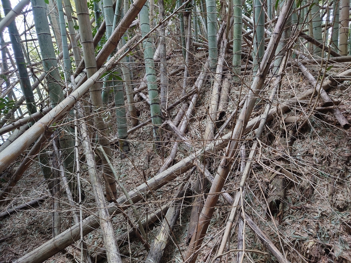 f:id:mai9mami:20220312115809j:plain